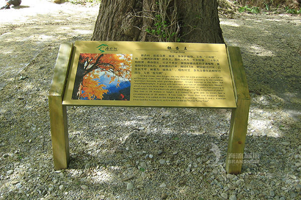 景區標識 景區標識