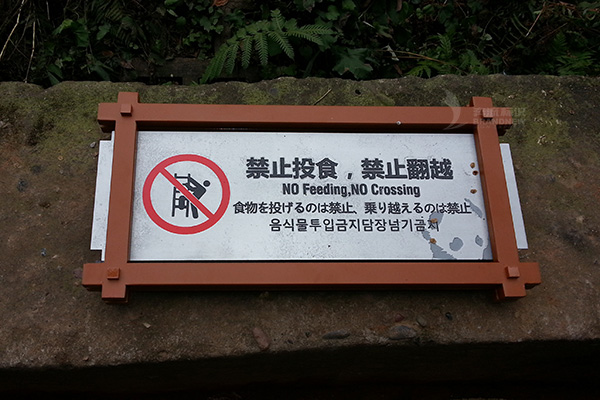 景區標識 景區標識