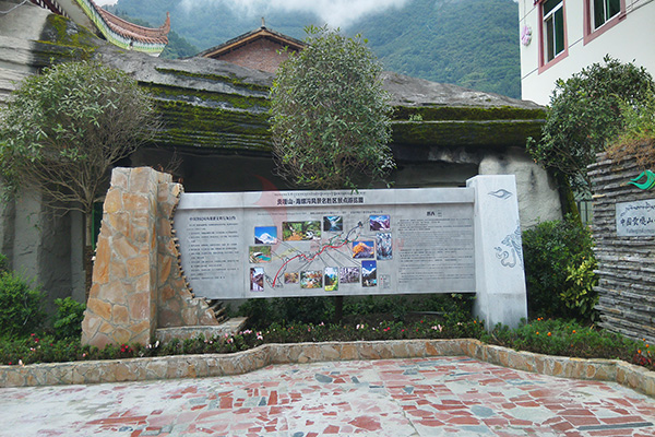 廣告導視系統 廣告導視系統