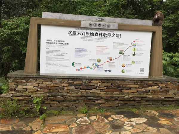 導視系統(tǒng)設計 導視系統(tǒng)設計